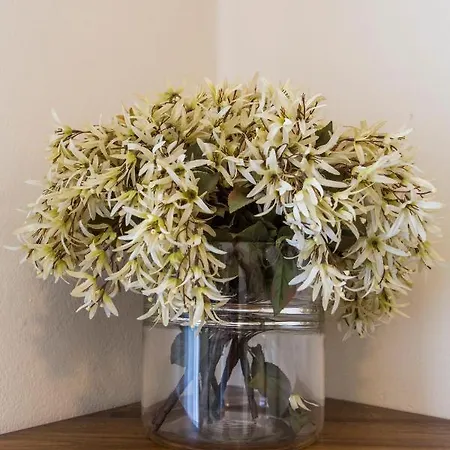 Bed And Bike - Dream House فندق مبيت وإفطار بيرغامو