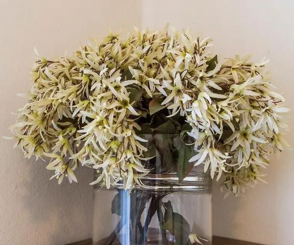 Bed And Bike - Dream House Bed & Breakfast Bergamo