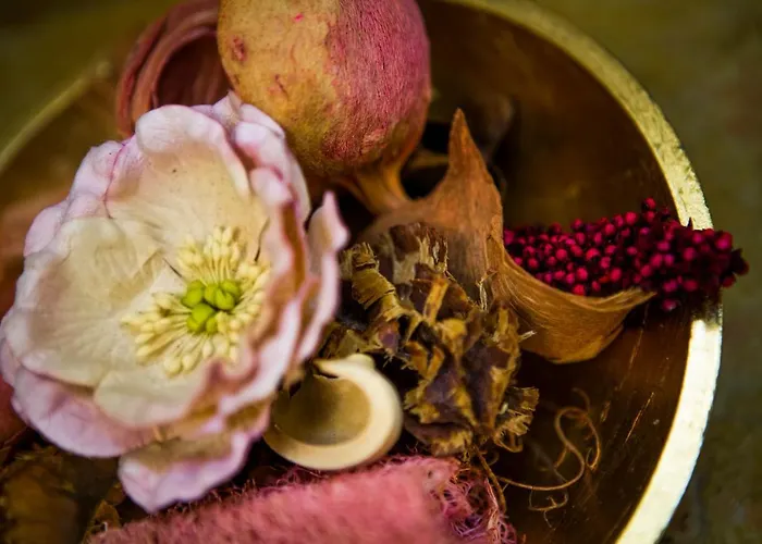 Bed And Bike - Dream House Bed & Breakfast